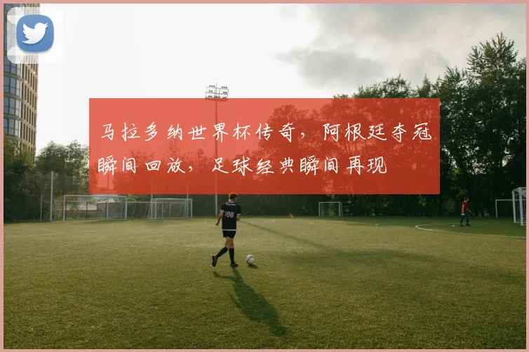 马拉多纳世界杯传奇，阿根廷夺冠瞬间回放，足球经典瞬间再现