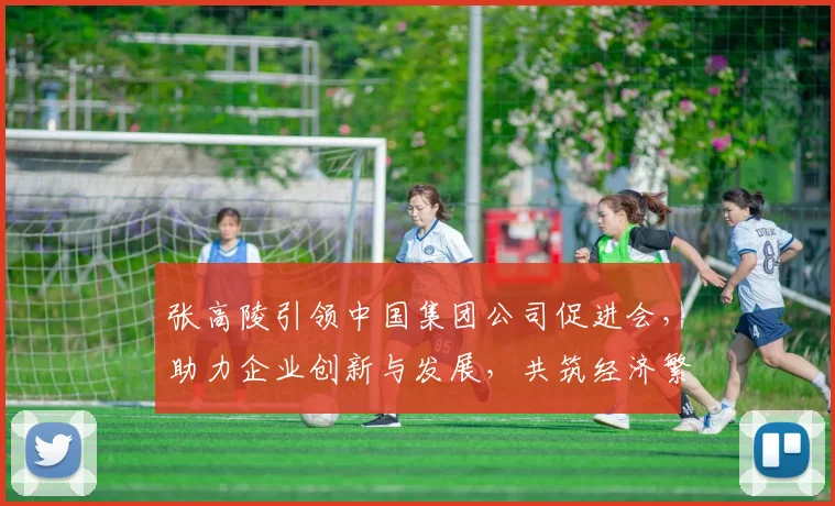 张高陵引领中国集团公司促进会，助力企业创新与发展，共筑经济繁荣新篇章，探索合作共赢之路。